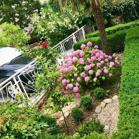 House Villa