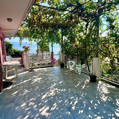 Villa House